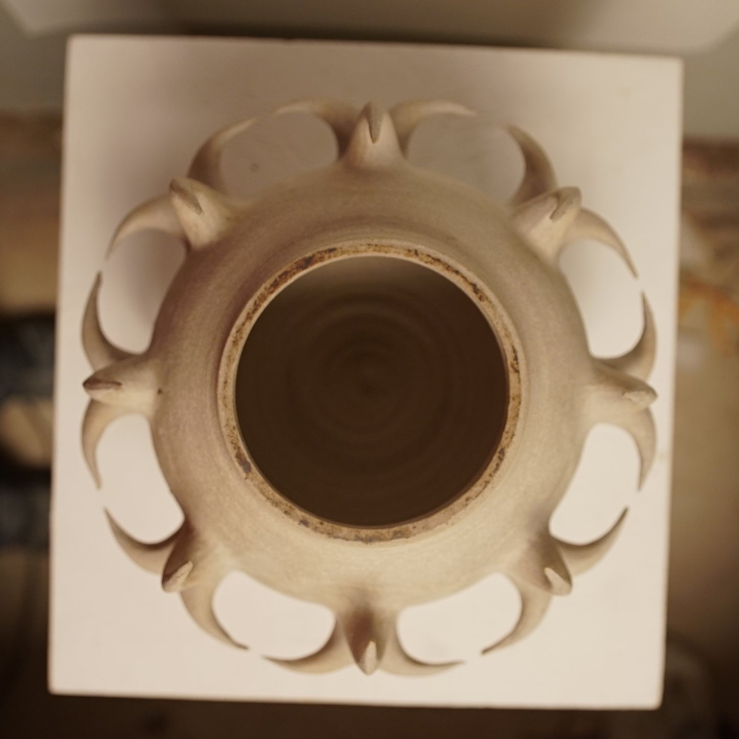 armatura halo